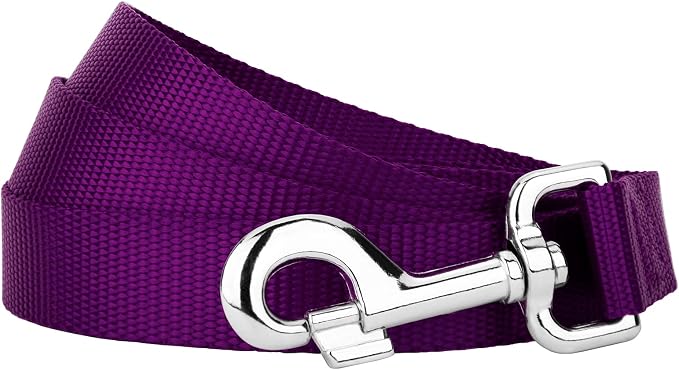 Country Brook Petz - Everyday Nylon Dog Leash - Strong, Durable, Solid Color Leash with Easy to Use Snap - 25+ Colors (1 Inch Wide, 6 Foot, Purple)