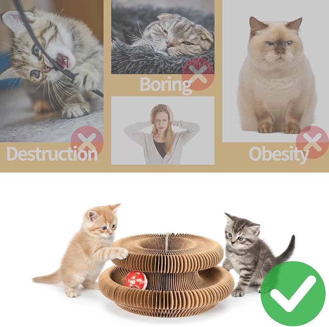 Magic Organ Cat Scratcher Board, Cat Ball Adventure The Ultimate Interactive Mental Physical Exercise for Indoor Cats Toy 2026