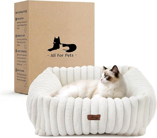 Cute Dog Bed for Small Dogs & Cats,Washable Fluffy Cat Beds for Indoor Cats, Rectangle Orthopedic Memory Foam Puppy Beds with Anti-Slip Bottom, 20 x19 x 7 Inches, Cream(20x19x6inchs)