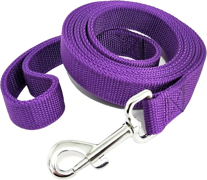 Strong Nylon Dog Leash with 2-Layer, 4 FT/ 6 FT/ 7FT Long, 1 Inch Wide for Medium Large Dogs (Purple, 1'' x 2 FT)