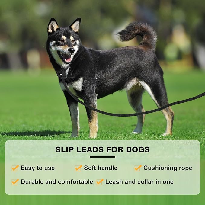 Lynxking Dog Leash Slip Lead Reflective Breathable Rope Comfortable Strong No Pull Slip On Pet Training Lead for Dogs (Black, Small 3/8 inch x 6ft)