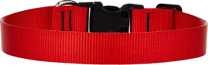 LupinePet Basics 1" Red 12-20" Adjustable Collar for Medium and Larger Dogs