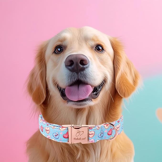 Valentines Dog Collar for Large Dogs - Cute Blue Heart Pattern Puppy Collar Sweet Valentine Adjustable Heavy Duty Pet Collar with Metal Buckle XL