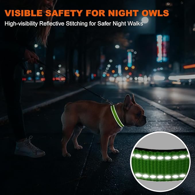 Taglory Reflective Dog Collar for Small Dogs, Soft Neoprene Padded with Escape-Proof Locking Buckle, Upgraded Zinc Alloy Ring, Adjustable Nylon Collar for Walking, Green,S