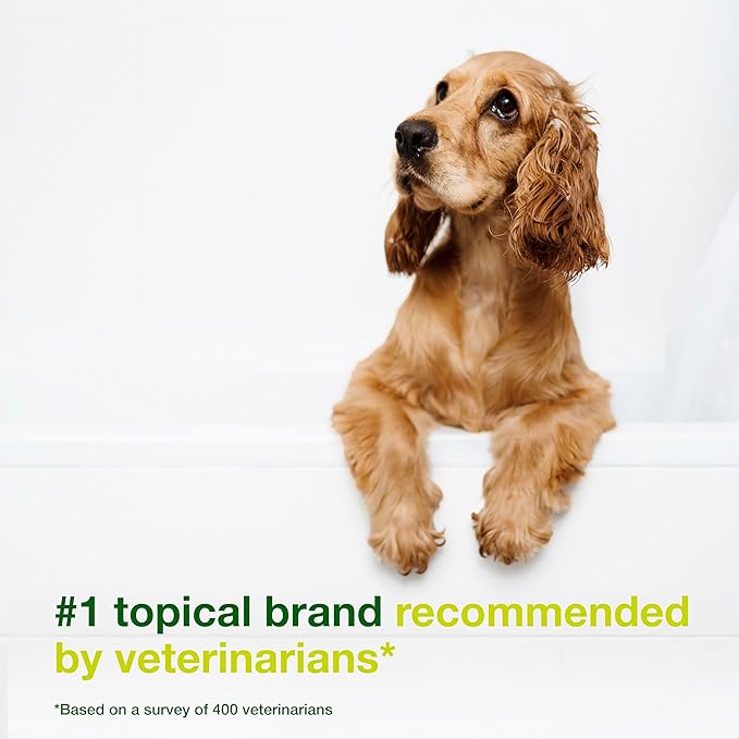 Douxo S3 SEB Dog Seboregulating Shampoo, Seborrhea Treatment for Dogs & Cats, Helps Control Dandruff, Unpleasant Odors & Oily/Flaky Skin, 0.5% Ophytrium, 6.7 fl oz