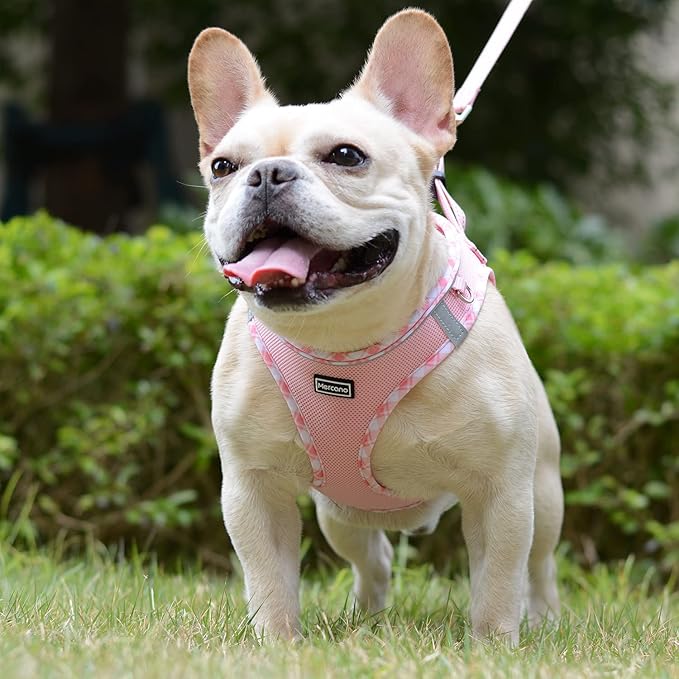 Mercano Soft Mesh Dog Harness and Leash Set, Step-in Reflective Breathable Lightweight Vest Harnesses with Safety Buckle for Small Dogs, Cats (Pink, L)