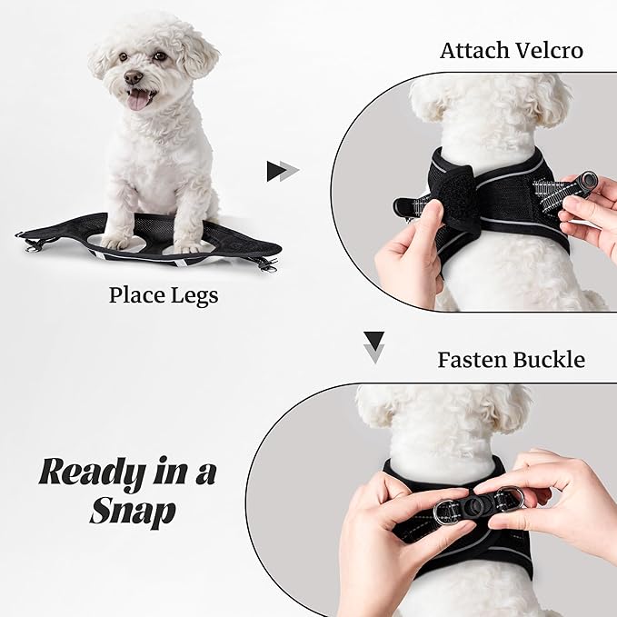 YIMEIS Dog Harness and Leash Set, No Pull Soft Mesh Pet Harness, Reflective Adjustable Puppy Vest for Small Dogs, Cats (M, Black) fit Small