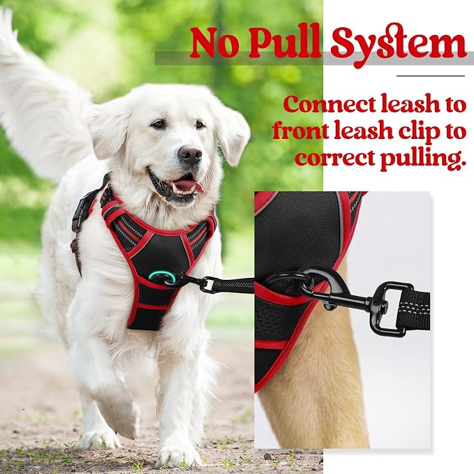 rabbitgoo Dog Harness No Pull with 2 Leash Clips, Adjustable Soft Padded, Reflective Oxford No Choke Pet Vest with Easy Control Handle for Large Dogs, Black & Red, L