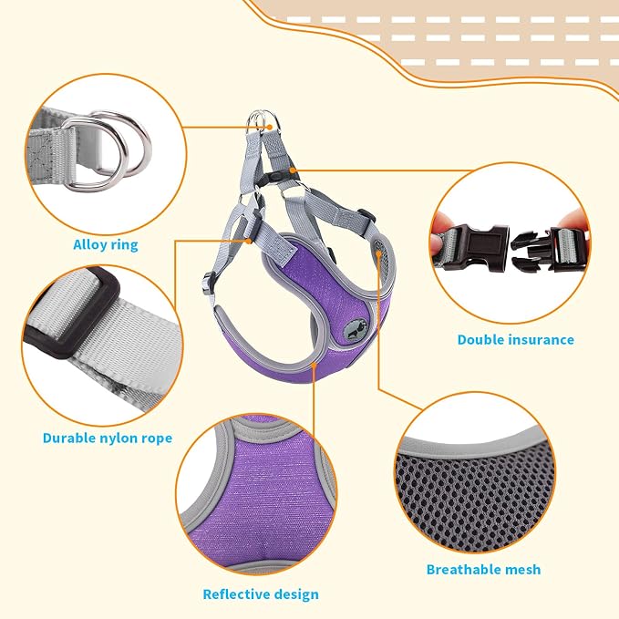 Dog Harness with Leash Set, Adjustable Step in Collars Harness with Breathable Padded Vest for Medium Dogs Training and Running (M, Purple)