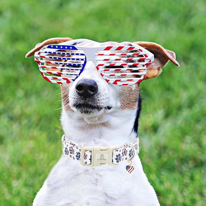 Lionheart glory American Flag Dog Collar, 4 of July Patriotic Independence Day Dog Collar Heavy Duty Adjustable Dog Collars for Medium Dogs Pet Gift Summer Collars Dog Cute Collars