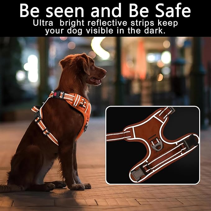 Timos Dog Harness Small Sized, No Pull Pet Harness with Neck Lockable Snap, No Choke Front Clip Reflective Vest, Adjustable Metal Rings 3 Buckles, Easy Control Handle for Small Dogs Pumpkin Orange S