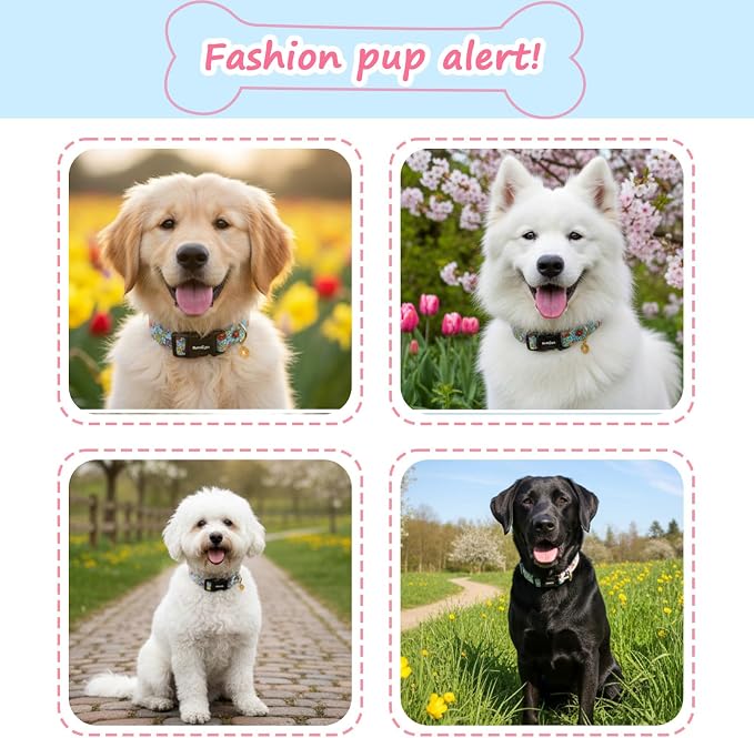 Dog Collar for Medium Dogs, Spring &Summer Theme Dog Collars with Colorful Flower Pattern, Adjustable Blue Small Dog Collars, Cute Girl or Boy Dog Collar Ideal for Gifts,Pet Accessory