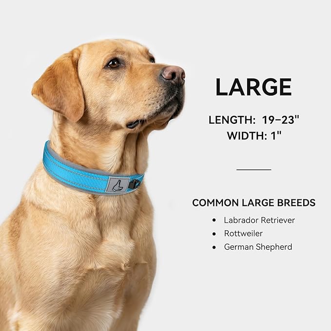 Joytale Dog Collar for Large Dogs, Neoprene Padded and Adjustable, Reflective Wide Heavy Duty Pet Collars with Durable Metal Belt Buckle for Walking, Sky Blue, L