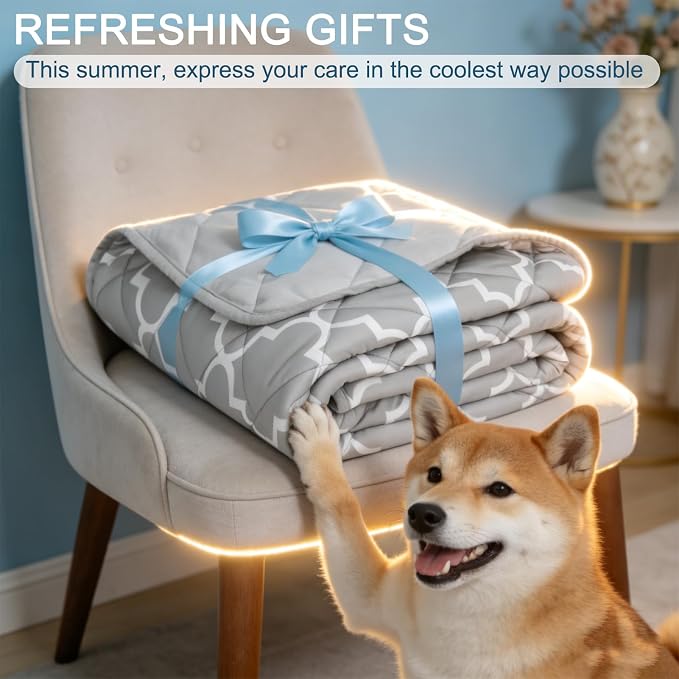 EXPAWLORER Dog Cooling Blanket - Washable Dog Cool Throw Blanket,Soft Lightweight Cooling Mat for Bed Cover, Extra Large Summer Soft Pet Pad for Large Dogs Puppy Cat,40"x60"