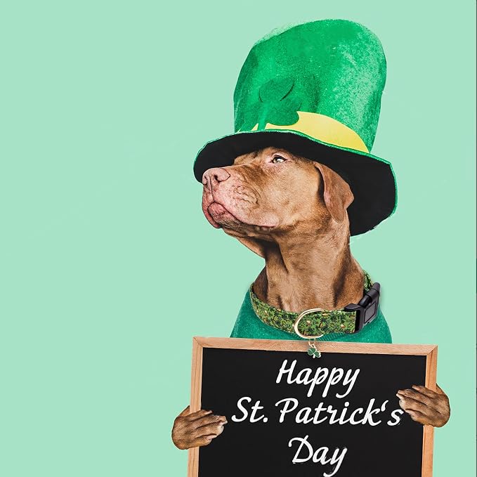 Faygarsle St Patrick's Day Dog Collar Cute Holiday Collar for Small Medium Large Dogs Green Trefoil Print Lucky Straw Cotton Dog Collar S