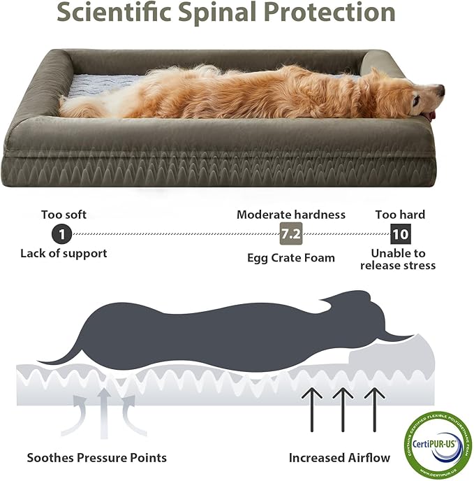 WNPETHOME XXL Extra Large Dog Bed, Washable Dog Couch with Removable Waterproof Cover, Orthopedic Pet Sofa Bed with Bolster Sides for Sleeping, 45 x 35 x 7 Inches