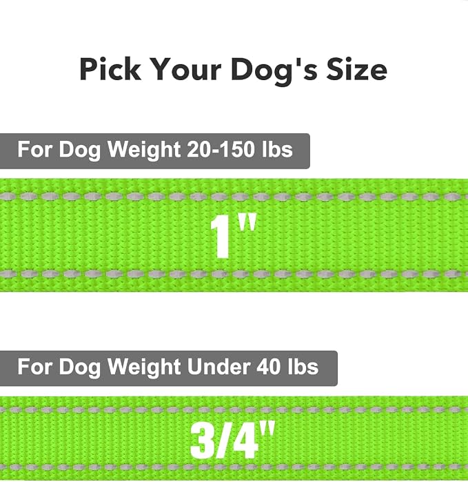 Taglory Dog Leash for Medium Large Dogs, Double-Sided Reflective for Night Walking, Neoprene Padded Handle, 1 inch by 4 ft, Heavy Duty for Medium Large Breeds 20-150 lbs, Green