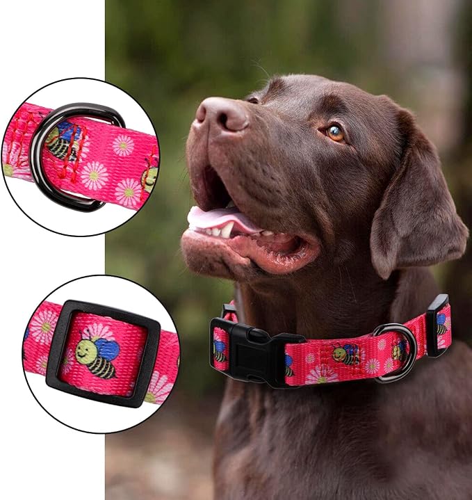 Pink Dog Collar Summer Daisy and Bees Print for Medium Dogs