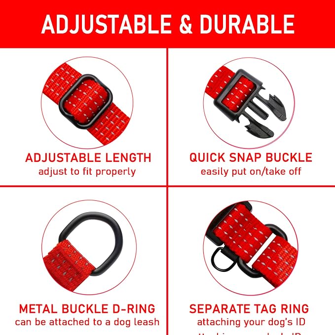 Martingale Collar for Training Dogs. Adjustable Reflective Dog Collars with Buckle- Prevents Slipping Out, for Medium Large XL Dogs. Helps with Strong pullers(S, RED)