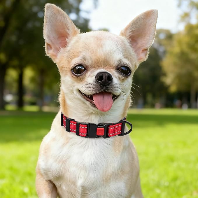 Taglory Reflective Dog Collar for Puppies with Escape-Proof Locking Buckle, Soft Neoprene Padded and Upgraded Zinc Alloy Ring, Adjustable for Chihuahua Yorkie, Red,XS