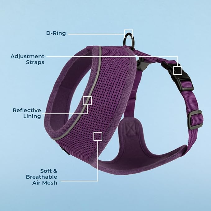 Best Pet Supplies Voyager Aerolite Over the Head Dog Harness, No Pull Breathable Air Mesh Vest, Quick Dry with Reflective Stitching, Adjustable Escape Resistant Harness - Purple, Small