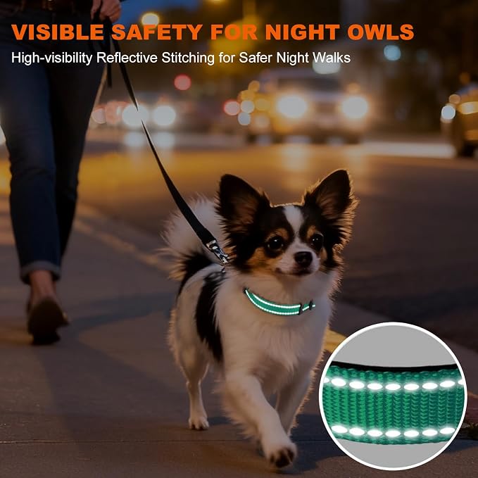 Taglory Reflective Dog Collar for Puppies with Escape-Proof Locking Buckle, Soft Neoprene Padded and Upgraded Zinc Alloy Ring, Adjustable for Chihuahua Yorkie, Turquoise,XS