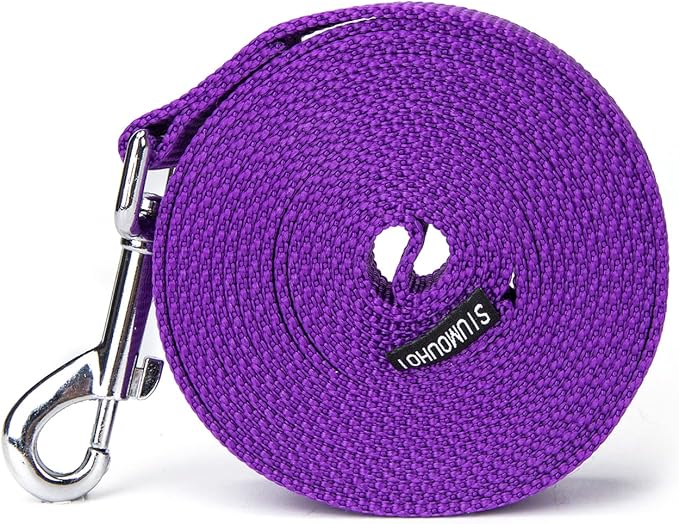 Strong Durable Nylon Dog Training Leash, 1 Inch Wide Traction Rope, 6 ft Long, for Small and Medium Dog (Purple, 6 Feet)