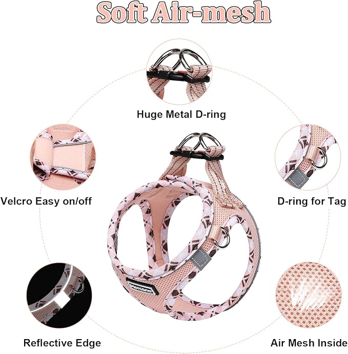 Mercano Soft Mesh Dog Harness and Leash Set, Step-in Reflective Breathable Lightweight Vest Harnesses with Safety Buckle for Small Dogs, Cats (Champagne, XS)