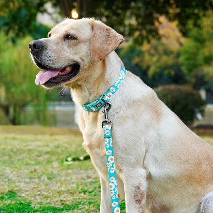 Dog Collar and Leash Set, Cute Daisy Pattern, Polyester Material, 5ft Leash, for Puppy Dogs.(Extra Small,Green Daisy)