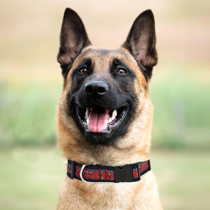 Pets First NFL Tampa Bay Buccaneers Licensed PET COLLAR, Extra Large - Heavy-Duty, Strong, and Durable Dog Collar. Available in 31 Football Teams and 4 Sizes