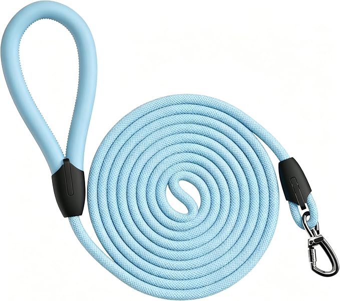 Small Dog Leash, 6ft Dog Leashes for Medium Dogs, Blue Leash, Rope Dogs Leashes, Strong Nylon Pet Lead, Pet Leather, Puppy Lead, Comfortable Leather Handle (Light Blue, 5 Feet)