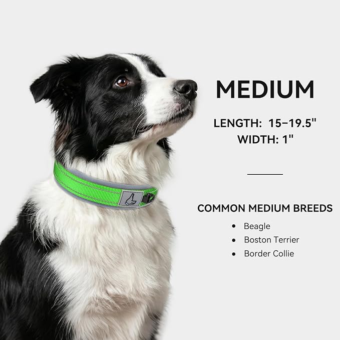 Joytale Dog Collar for Medium Dogs, Neoprene Padded and Adjustable, Reflective Wide Heavy Duty Pet Collars with Durable Metal Belt Buckle for Walking, Green, M