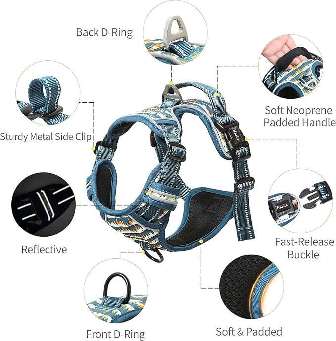 HEELE Dog Harness, No Pull Adjustable Padded Reflective Harness for Small Medium Large Dogs with Handle for Walking Training, Flower-Sunset Valley, XL
