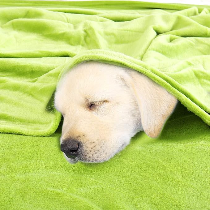 uxcell Flannel Fleece Blanket Queen Size - Soft Lightweight Plush Microfiber Bed Blanket for Sofa or Couch, Machine Washable Blankets Fleeces, Chartreuse 78x90 Inch