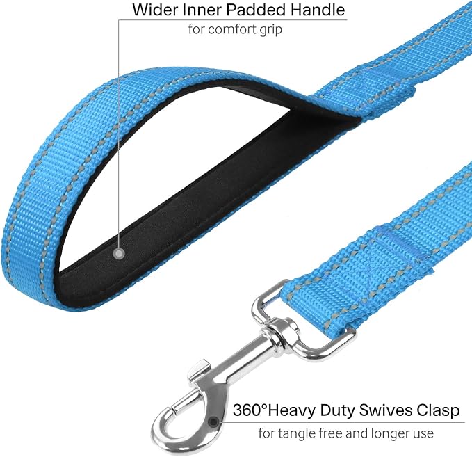 FunTags 4FT Sky Blue Reflective Dog Leash for Medium & Small Dogs Training, Soft Padded Handle Comfortable Grip, Heavy Duty Nylon, Reflective for Night Walking, 3/4in Wide