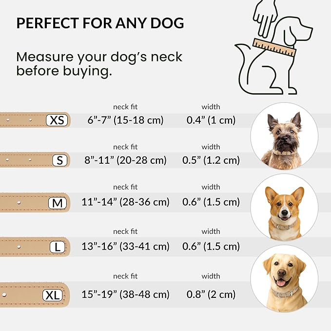CollarDirect Reflective Rolled Leather Dog Collar, Soft Padded Round Puppy Collar, Handmade Genuine Leather Collar Dog Small Large Cat Collars 13 Colors (11-14 Inch, Beige Reflective)