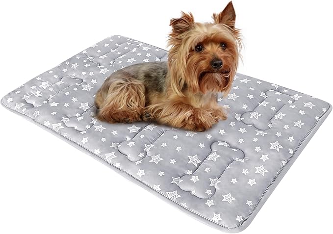 Dog Crate Mat (24" X 18"), Soft Dog Bed Mat with Cute Prints, Personalized Crate Pad, Anti-Slip Bottom, Machine Washable Kennel Pad