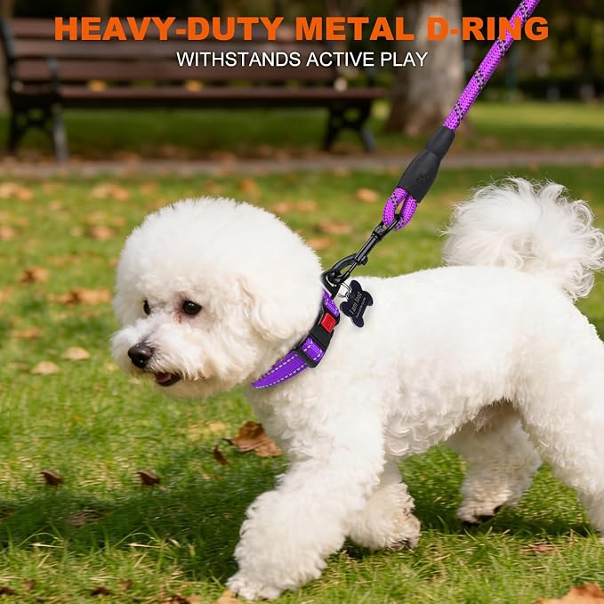 Taglory Reflective Dog Collar for Small Dogs, Soft Neoprene Padded with Escape-Proof Locking Buckle, Upgraded Zinc Alloy Ring, Adjustable Nylon Collar for Walking, Purple,S