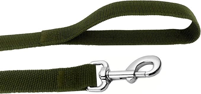Strong Nylon Dog Leash, 4FT/ 5 FT/ 6FT Dog Leashes for Medium Large Dogs (6FT, Green)