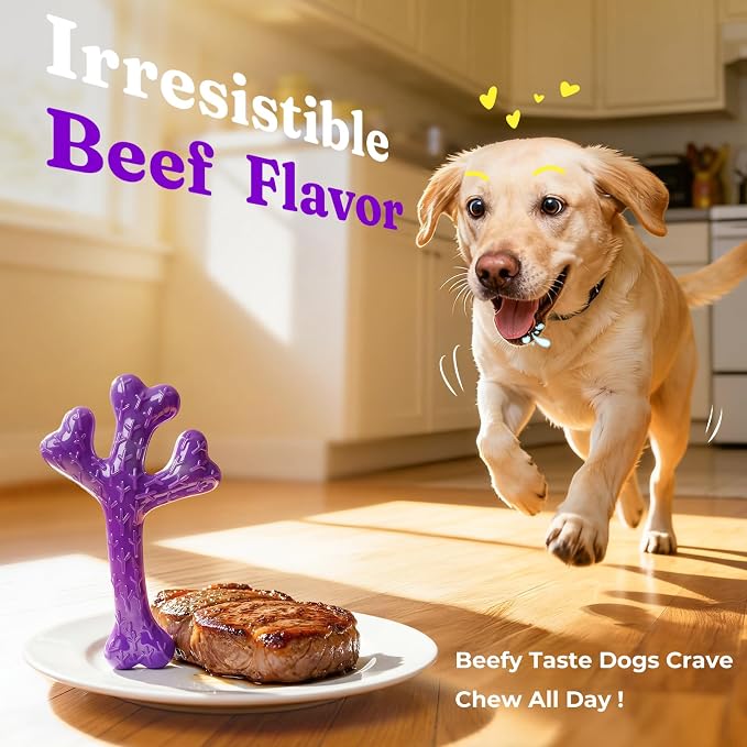 Frienhund 2 Pack Indestructible Dog Chew Toys for Aggressive Chewers - Textured Cactus with Grooves for Peanut Butter & Yogurt, Beef Nylon Bones for Large Dogs 20-90 lbs, Easy Chew & Long Lasting