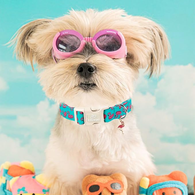 Summer Dog Collar, Cute Boy Flamingo Pool Party Dog Collars for Medium Dogs - Beach Day Pup Collar, Soft Adjustable Male Pet Collars with Quick Release Buckle M
