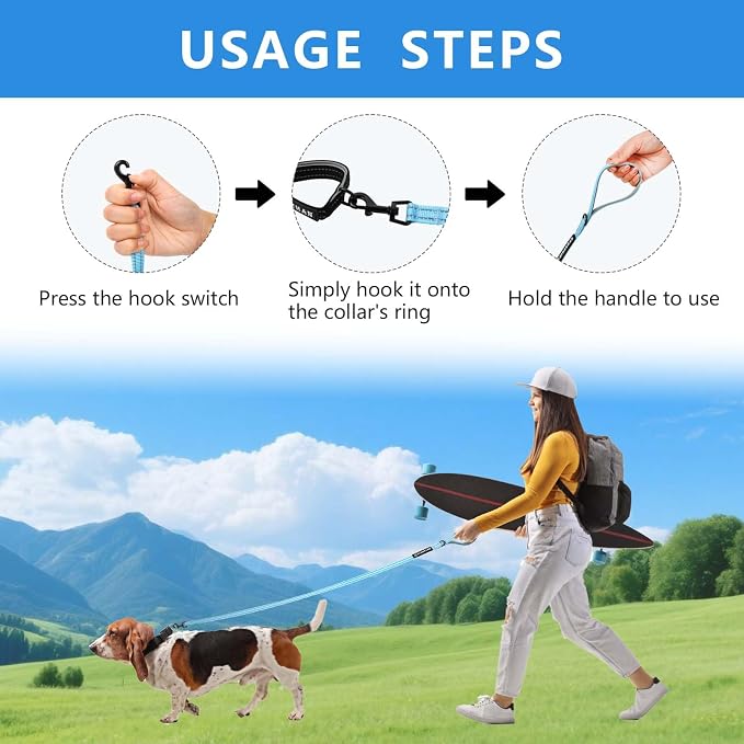 Reflective 6 FT Dog Leash, Premium Traditional Style Puppy Leash with Easy to Use Collar Hook for Small, Medium, and Large Breed Puppies (Blue, 3/4 in x 6 ft)