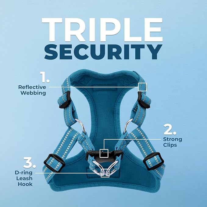 Best Pet Supplies Voyager Adjustable Step-in Flex Breathable Mesh Dog Harness for Small Medium Large Dogs (Turquoise), XL