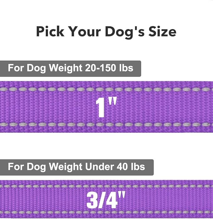 Taglory Dog Leash for Medium Large Dogs, Double-Sided Reflective for Night Walking, Neoprene Padded Handle, 1 inch by 5 ft, Heavy Duty for Medium Large Breeds 20-150 lbs, Purple