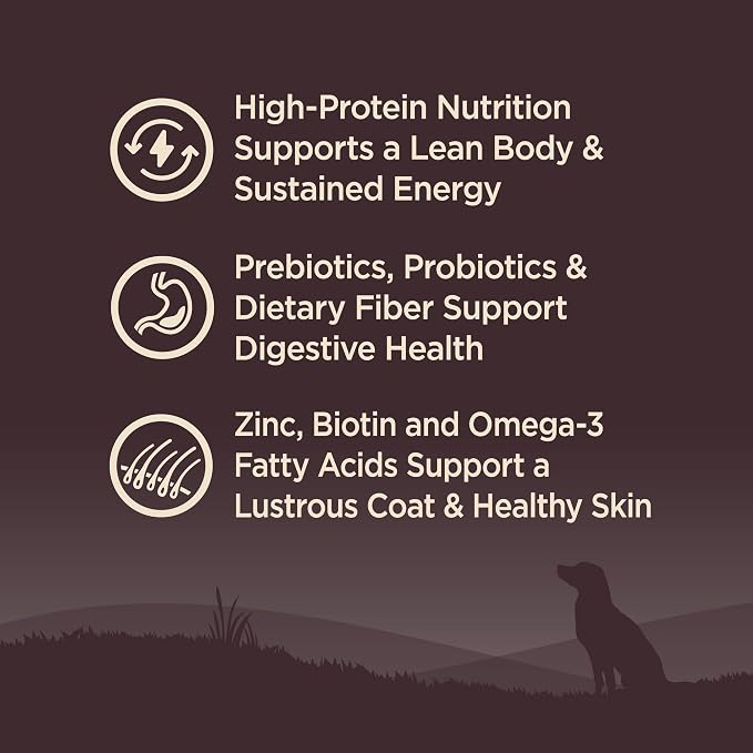 Wellness CORE Adult Dry Dog Food, Grain Free Kibble, Natural, High Protein, Lamb Recipe, 22 lb Bag