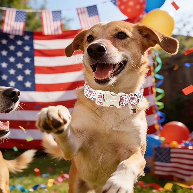 DOGWONG 4th of July Dog Collar, American Flag Dog Collar with Plastic Buckle,Patriotic Dogs Collars for Small Medium Dogs, Neck 14-21 inches