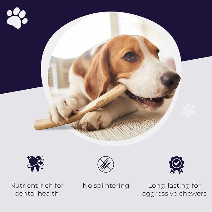 Devil Dog Pet Co. Elk Antlers for Dogs, Natural Dog Chew for Aggressive Chewers - Long Lasting and Odor Free - USA Sourced - Cleaner Teeth, Anxiety & Boredom Relief - Whole Small 4"+ 2 Pack