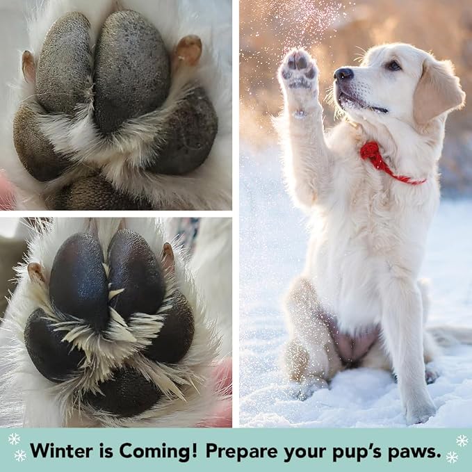 Natural Dog Company Pawtection Bundle with (1) 2 oz. Tin and (1) Travel Size Stick Healing Balm for Dogs