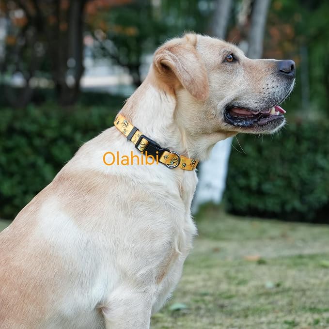 Dog Collar Leash Set, Busy Bee Pattern, 5ft Matching Leash, Polyester Material, 4 for Small Medium Large Dogs.(XS, Bee)