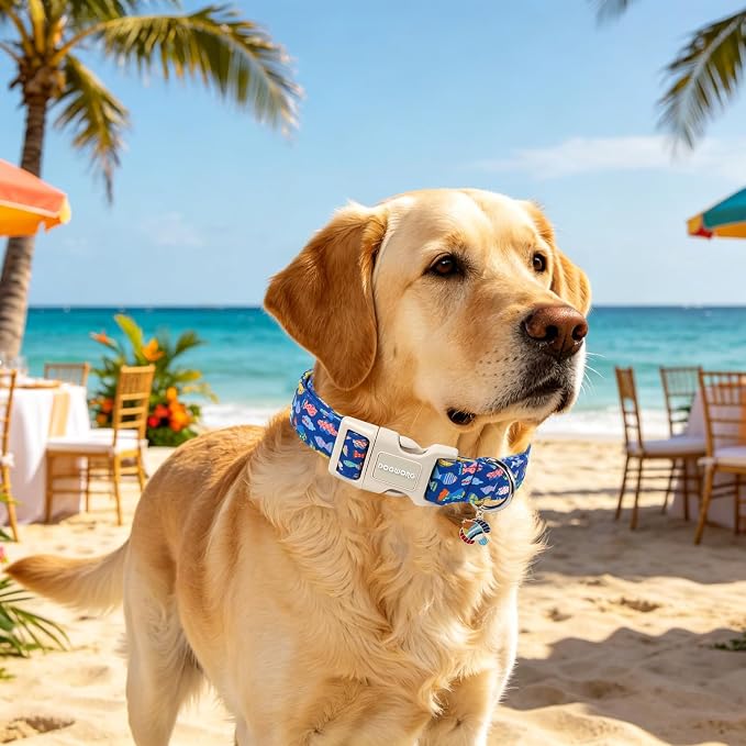 DOGWONG Summer Dog Collar for Large Dogs, Beach Hawaiian Dog Collars, Blue Summer Boy Dogs Collars for Medium Lrage Dogs, Neck 39-60 inches